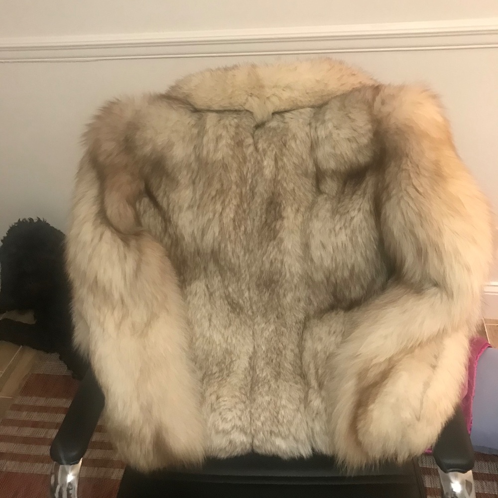 Vintage fox.